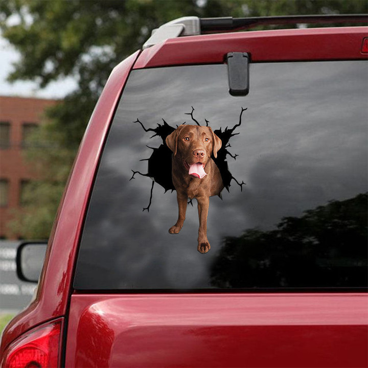 Labrador Chocolate Crack Stickers For Water Bottle Fun Custom Car Decals Gifts , Car Body Decals 12x12IN 2PCS