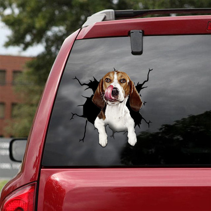 Beagle Crack Decals For Cars Cuteness Overloaded Face Stickers Couple , Funny Racing Stickers 12x12IN 2PCS