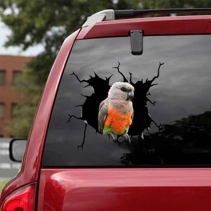 African Red Belly Parrot Crack Sticker Cute Super Cute Sticker Designs Christmas , White Car Decals 12x12IN 2PCS