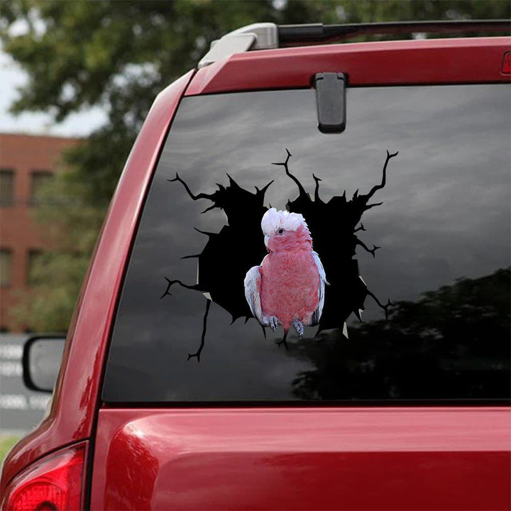 Parrot Crack Car Decal Custom Kawaii Vinyl Sticker Paper For Wife, Amg Decal 12x12IN 2PCS