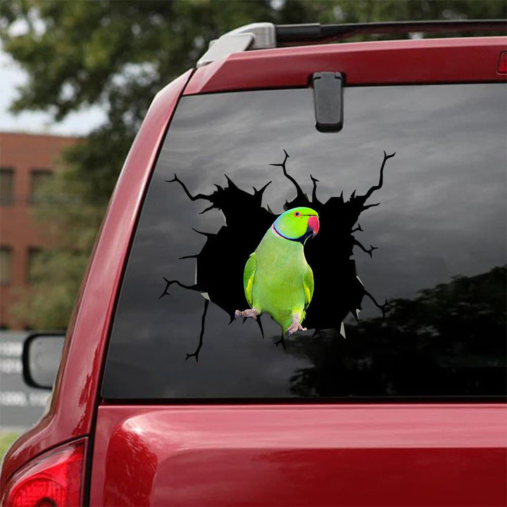 Male Green Indian Ringneck Crack Decal For Wall Nice Car Bumper Stickers Anniversary Ideas, Subaru Mountain Decal 12x12IN 2PCS