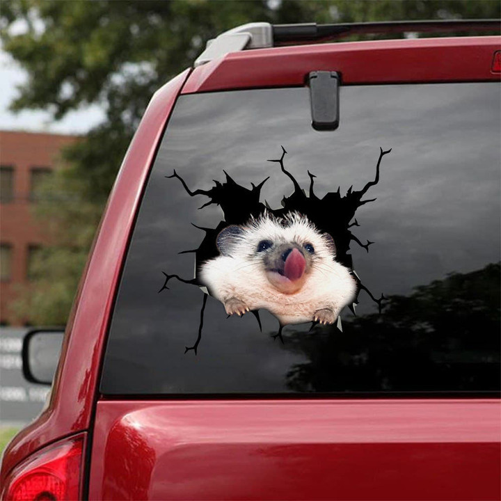 Hedgehog Crack Decal For Wall Cool Car Window Decals Gifts For Him, Euro Car Stickers 12x12IN 2PCS