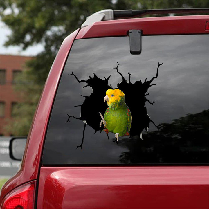 Parrot Crack Sticker For Back Window Wiper Funny Gifs Window Decals Mens Valentines Gifts, Carbon Fiber Sticker For Car 12x12IN 2PCS
