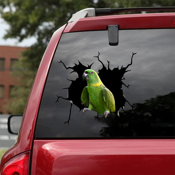 Parrot Crack Decal Ideas Cute Car Decals Christmas Gifts For Teens, Abarth Stickers 12x12IN 2PCS