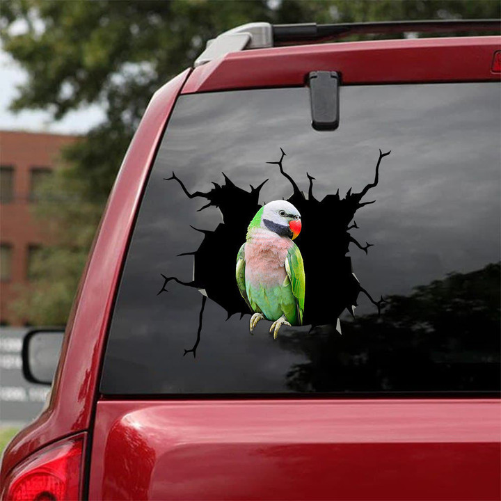 Parrot Crack Sticker For Back Window Wiper Funny Gifs Sticker Label Maker Dads , Tesla Decal 12x12IN 2PCS