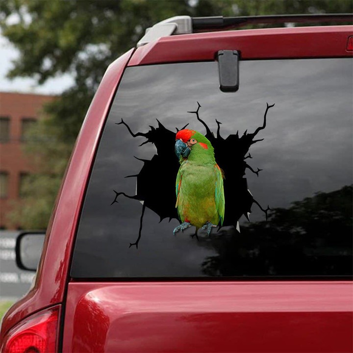 Red Fronted Macaw Crack Dad Decal The Cutest Decal Stickers , Umbrella Corporation Car Sticker 12x12IN 2PCS