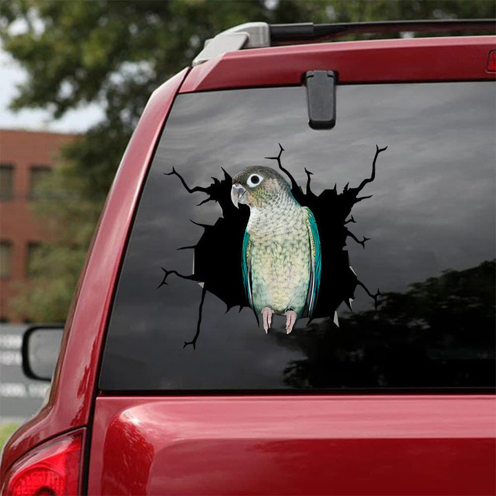 Turquoise Pineapple Green Cheek Conure Crack Sticker Sheets Pretty Cute Clear Labels Cool Christmas Gifts, Turbo Diesel Sticker 12x12IN 2PCS