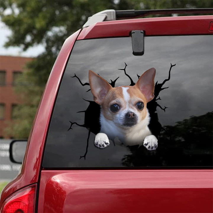 Chihuahua Crack Sticker Design Funny Memes Face Stickers Mother'S Day Gifts, Mercedes Benz Stickers 12x12IN 2PCS