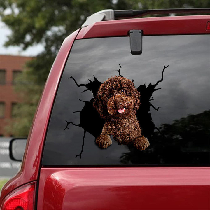 Poodle Camellia Crack Sticker For Car Window Funny Birthday Memes Window Stickers Birthday Gift For Husband, Ertiga Graphics Stickers 12x12IN 2PCS