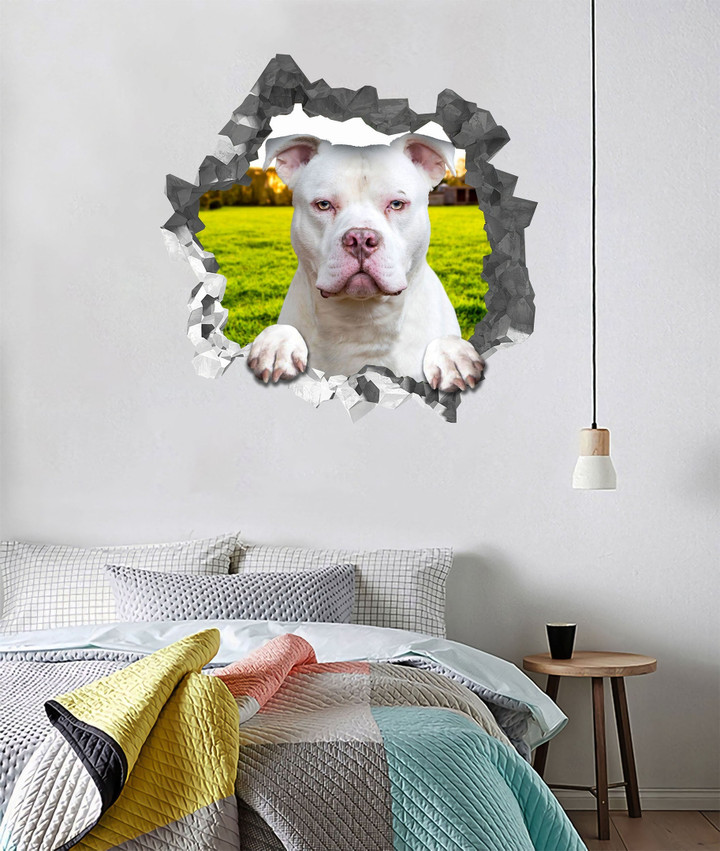 Pitbull Crack Wall Decal, Mitsubishi Lancer Stickers 16x24IN 1PC