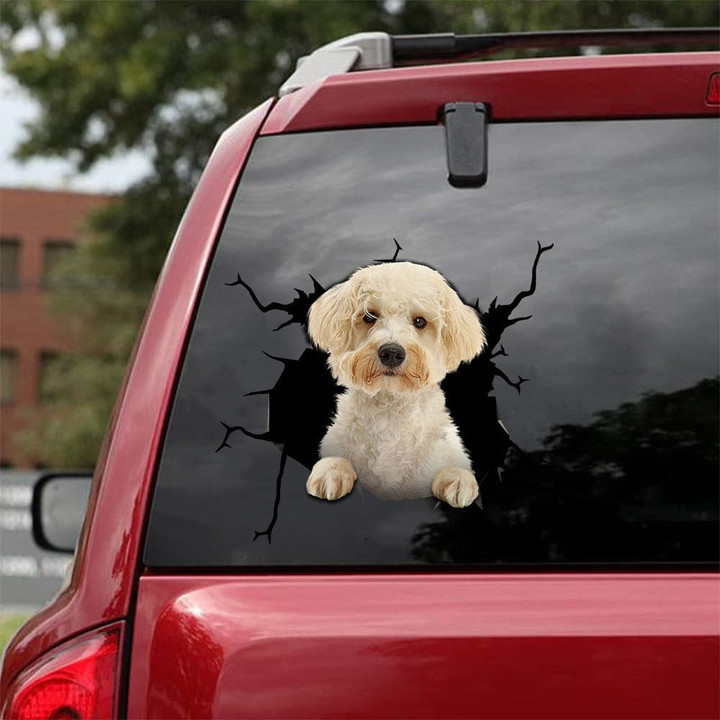 Schnoodle Crack Stickers For Water Bottle Cool Floor Stickers Funny Christmas Gifts, Car Alloy Wheel Stickers 12x12IN 2PCS