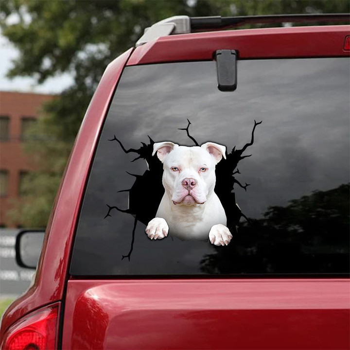 Pitbull Crack Decal For Boat Your Cute Jeans Vinyl Stickers For Cars , Stickers For Car Back Glass 12x12IN 2PCS