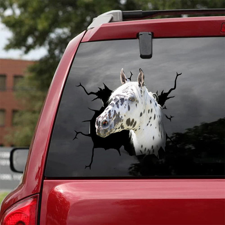 Appaloosa Horse Crack Sticker Design Funny Memes Small Stickers Teacher Gifts, Wile E Coyote Sticker For Car 12x12IN 2PCS