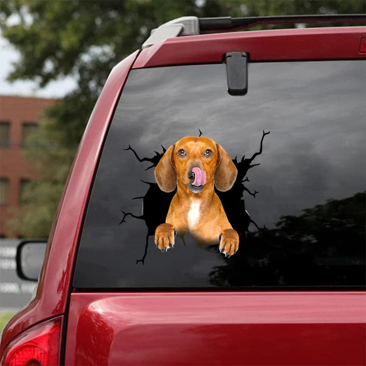 Dachshund Crack Bone Sticker Funny Pictures Floor Stickers Dog Lover Gifts, My Driving Scares Me Too Sticker 12x12IN 2PCS