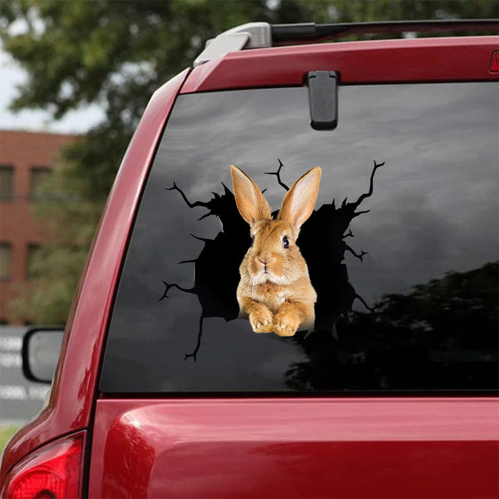 Rabbit Crack Decals For Walls Likeable Decals Stickers 20Th Anniversary Gift, Car Label Stickers 12x12IN 2PCS