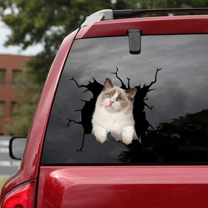 Ragdoll Cat Crack Decals For Windows Lovable Magnetic Stickers Stuffers, Country Stickers For Cars 12x12IN 2PCS