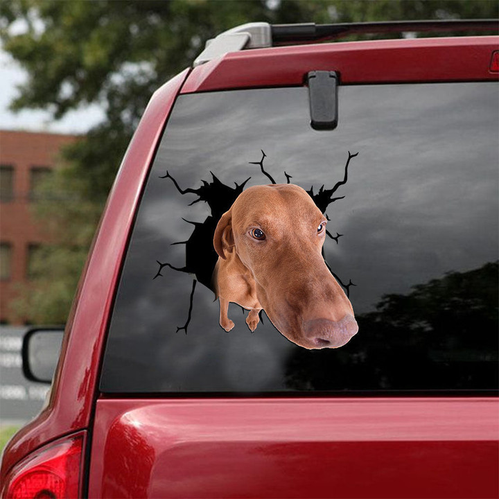Vizsla Crack Decal Sticker Car Funny Faces Outdoor Stickers Gifts For Friends, Car Stripes And Decals 12x12IN 2PCS