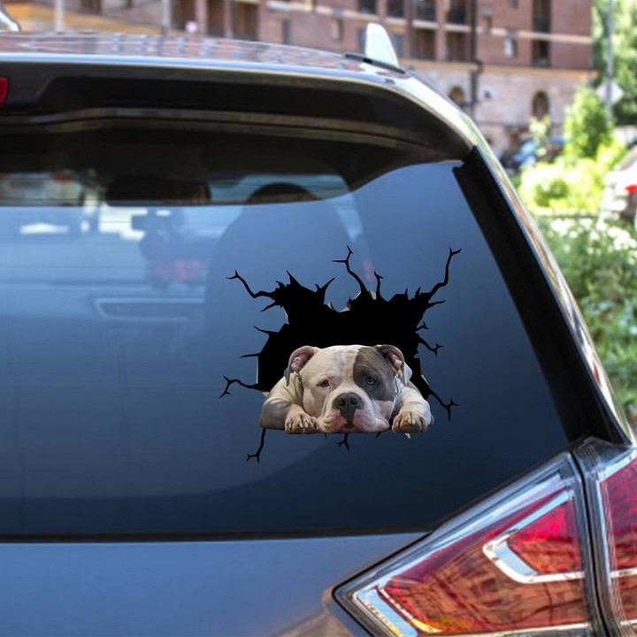 American Bully Crack Window Decal Custom 3d Car Decal Vinyl Aesthetic Decal Funny Stickers Home Decor Gift Ideas Car Vinyl Decal Sticker Window Decals, Peel and Stick Wall Decals 12x12IN 2PCS