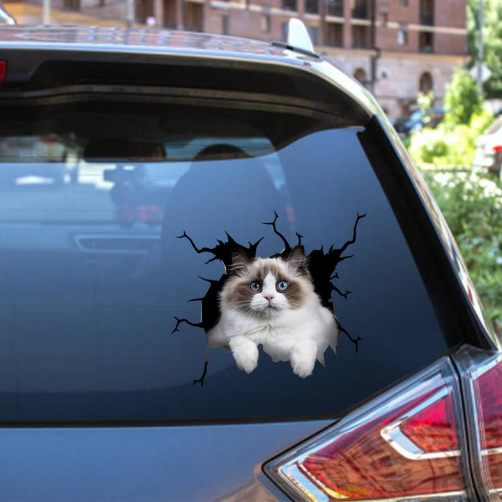 Birman Cat Decal Cute Crack Sticker Fathers Day Ideas Car Vinyl Decal Sticker Window Decals, Peel and Stick Wall Decals 12x12IN 2PCS