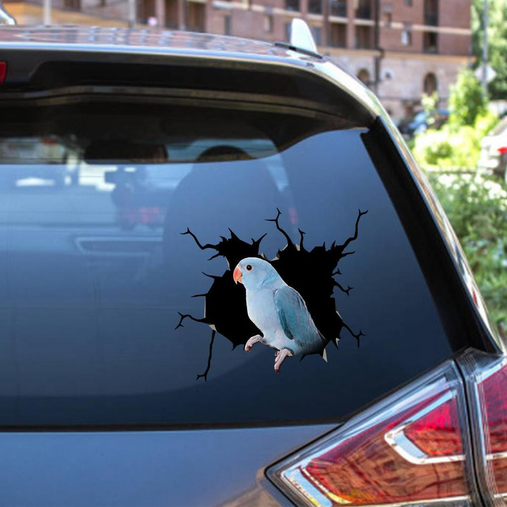 Blue Quaker Parrot Crack Funny For Wild Animal Lover Car Vinyl Decal Sticker Window Decals, Peel and Stick Wall Decals 12x12IN 2PCS