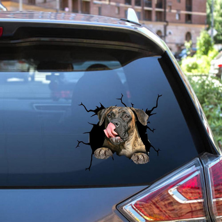 Boerboel Crack Window Decal Custom 3d Car Decal Vinyl Aesthetic Decal Funny Stickers Home Decor Gift Ideas Car Vinyl Decal Sticker Window Decals, Peel and Stick Wall Decals 12x12IN 2PCS