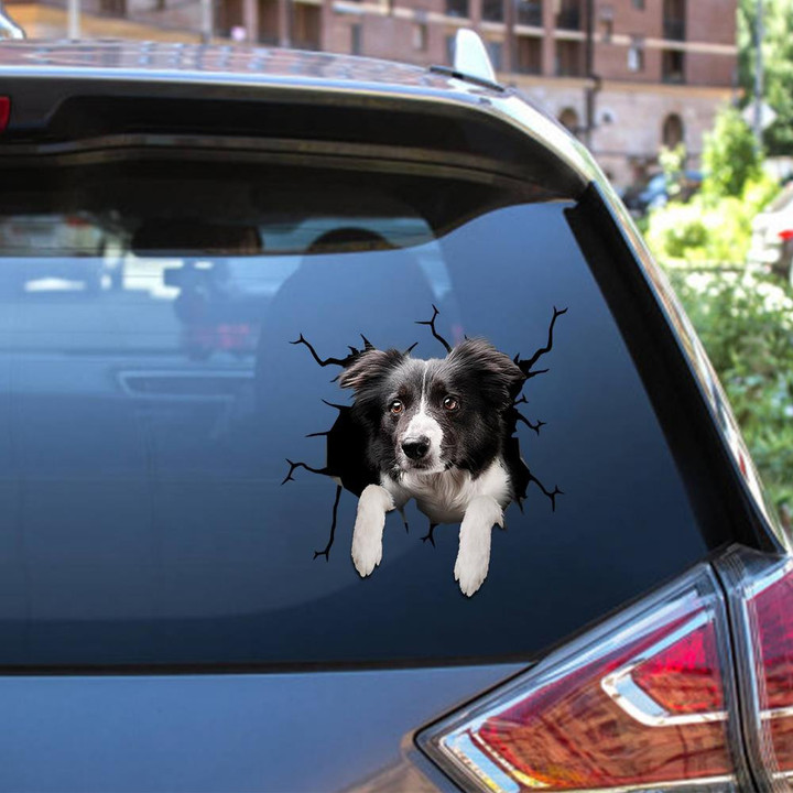 Border Collie Crack Window Decal Custom 3d Car Decal Vinyl Aesthetic Decal Funny Stickers Home Decor Gift Ideas Car Vinyl Decal Sticker Window Decals, Peel and Stick Wall Decals 12x12IN 2PCS