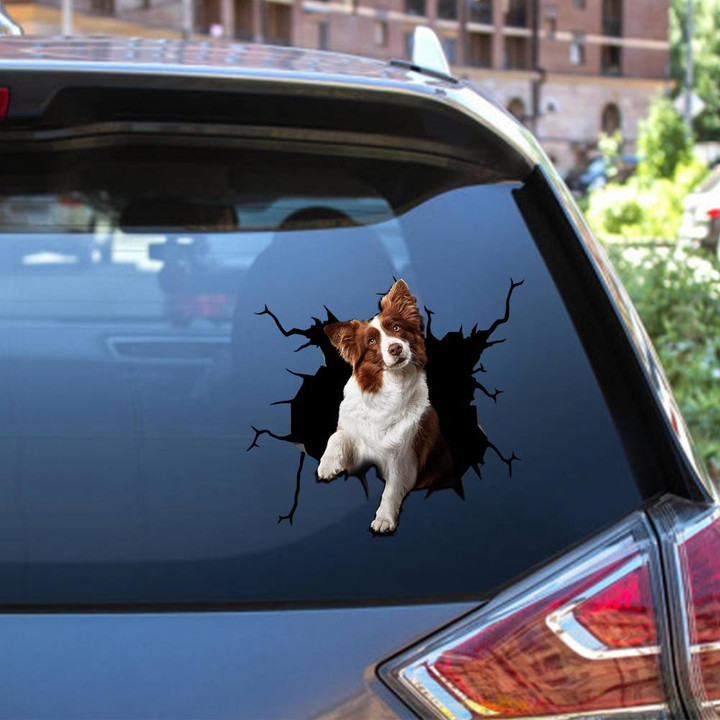 Border Collie Crack Window Decal Custom 3d Car Decal Vinyl Aesthetic Decal Funny Stickers Cute Gift Ideas Ae10194 Car Vinyl Decal Sticker Window Decals, Peel and Stick Wall Decals 12x12IN 2PCS