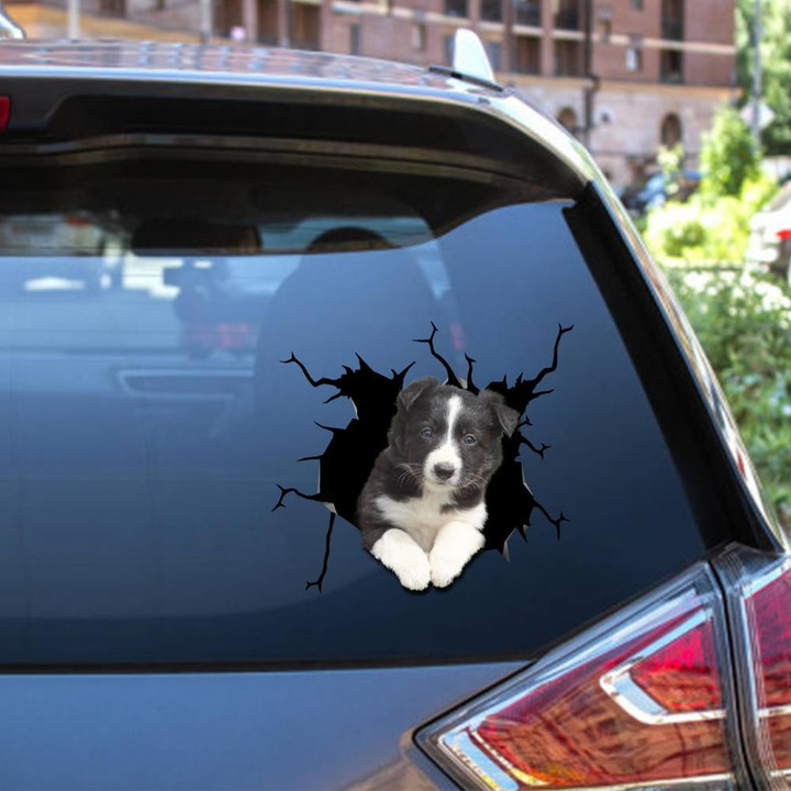 Border Collie Crack Window Decal Custom 3d Car Decal Vinyl Aesthetic Decal Funny Stickers Cute Gift Ideas Ae10190 Car Vinyl Decal Sticker Window Decals, Peel and Stick Wall Decals 12x12IN 2PCS