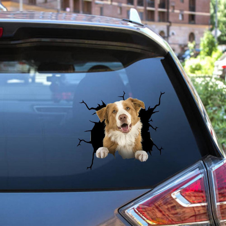 Border Collie Crack Window Decal Custom 3d Car Decal Vinyl Aesthetic Decal Funny Stickers Cute Gift Ideas Ae10187 Car Vinyl Decal Sticker Window Decals, Peel and Stick Wall Decals 12x12IN 2PCS