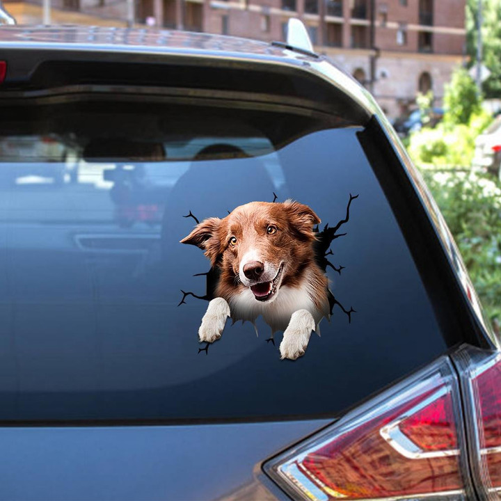 Border Collie Crack Window Decal Custom 3d Car Decal Vinyl Aesthetic Decal Funny Stickers Cute Gift Ideas Ae10199 Car Vinyl Decal Sticker Window Decals, Peel and Stick Wall Decals 12x12IN 2PCS