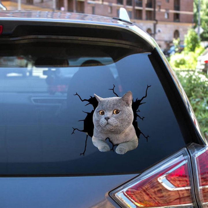 British Shorthair Crack Window Decal Custom 3d Car Decal Vinyl Aesthetic Decal Funny Stickers Home Decor Gift Ideas Car Vinyl Decal Sticker Window Decals, Peel and Stick Wall Decals 12x12IN 2PCS
