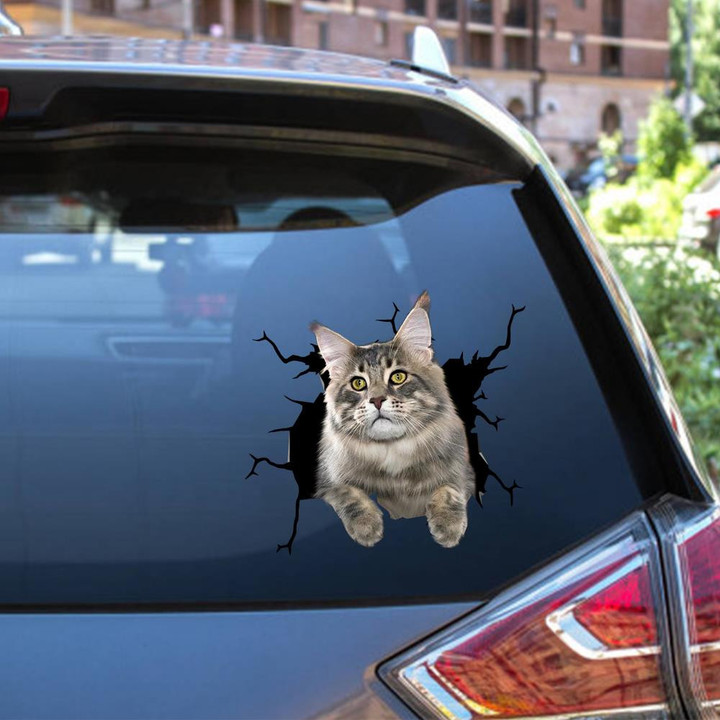 Cat Crack Decal Cute Stickers For Cat Lover Car Vinyl Decal Sticker Window Decals, Peel and Stick Wall Decals 12x12IN 2PCS
