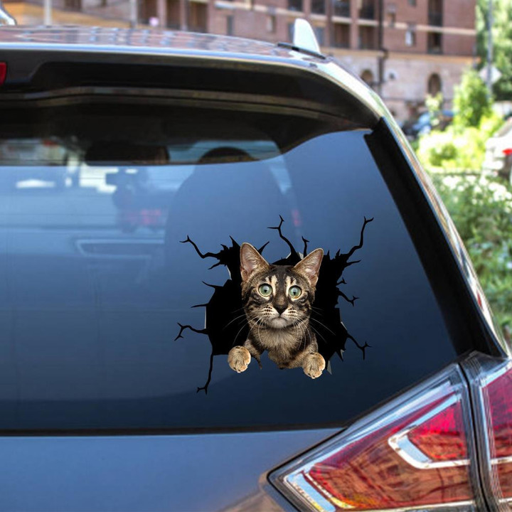 Cat Crack Decal Cute Stickers For Mom From Daughter Car Vinyl Decal Sticker Window Decals, Peel and Stick Wall Decals 12x12IN 2PCS