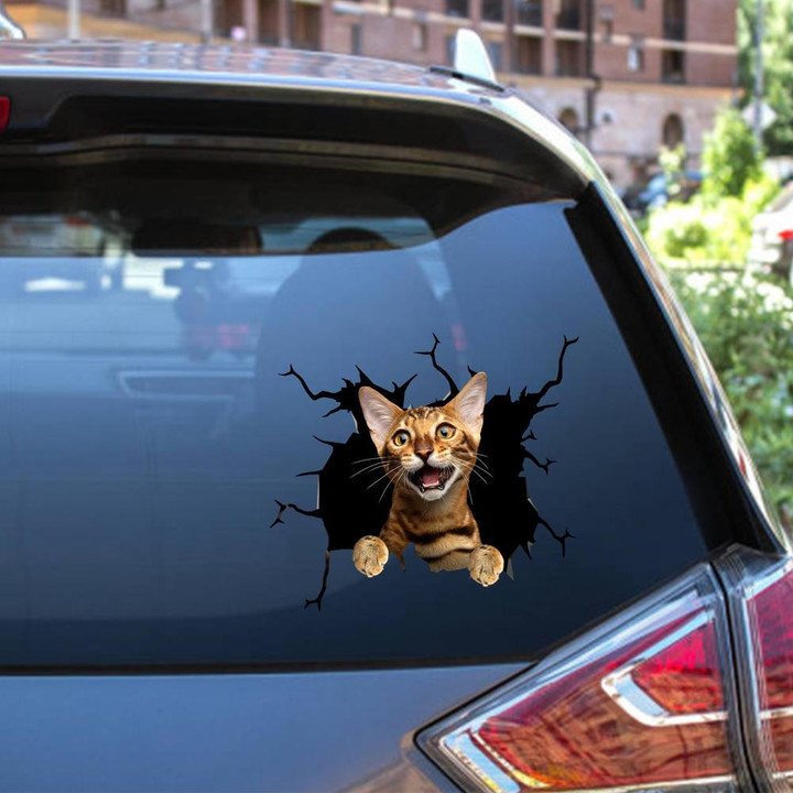 Cat Crack Decal Funny Stickers For Cat Lover Birthday Ideas Car Vinyl Decal Sticker Window Decals, Peel and Stick Wall Decals 12x12IN 2PCS