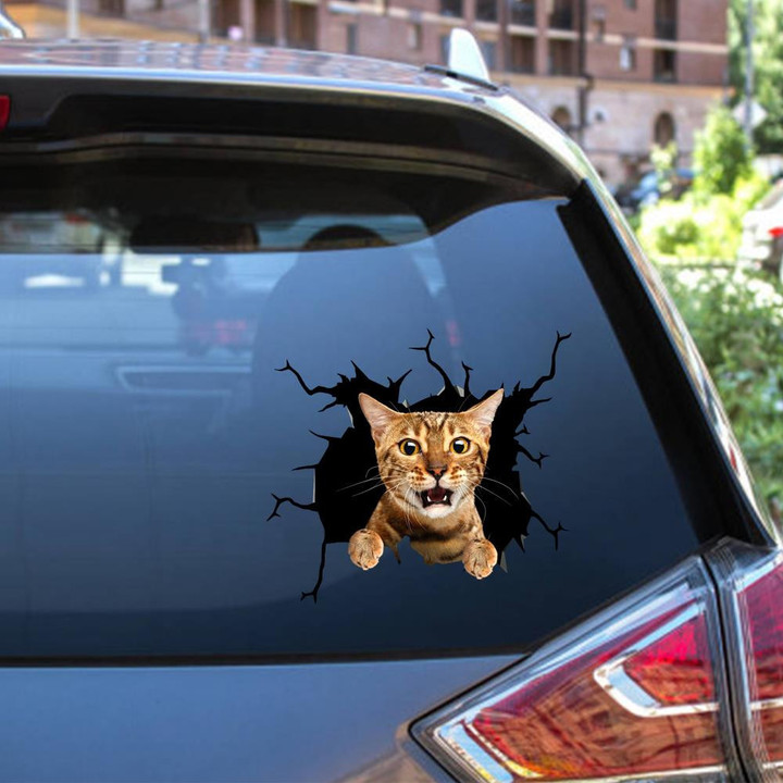 Cat Crack Decal Funny Stickers For Mom From Daughter Car Vinyl Decal Sticker Window Decals, Peel and Stick Wall Decals 12x12IN 2PCS