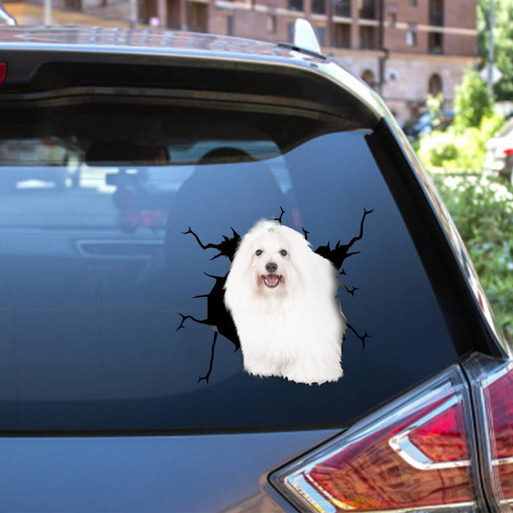 Coton De Tulear Crack Window Decal Custom 3d Car Decal Vinyl Aesthetic Decal Funny Stickers Home Decor Gift Ideas Car Vinyl Decal Sticker Window Decals, Peel and Stick Wall Decals 12x12IN 2PCS
