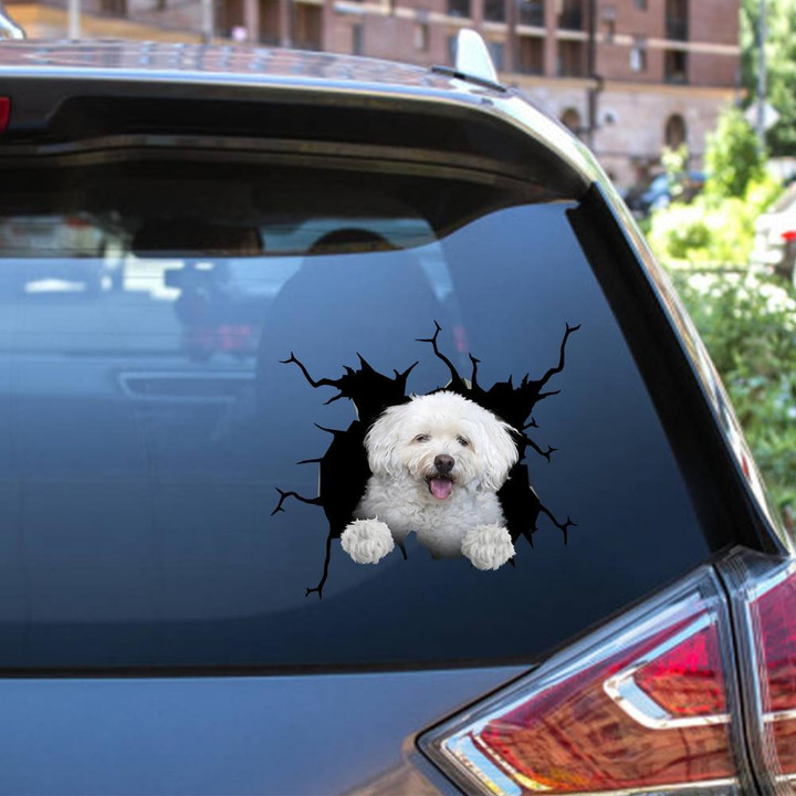 Cockapoo Crack Window Decal Custom 3d Car Decal Vinyl Aesthetic Decal Funny Stickers Cute Gift Ideas Ae10360 Car Vinyl Decal Sticker Window Decals, Peel and Stick Wall Decals 12x12IN 2PCS