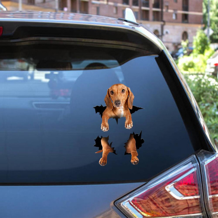 Dachshund Dog Decal Crack Sticker Pack Nice Small Stickers Mothers Day Ideas Car Vinyl Decal Sticker Window Decals, Peel and Stick Wall Decals 12x12IN 2PCS