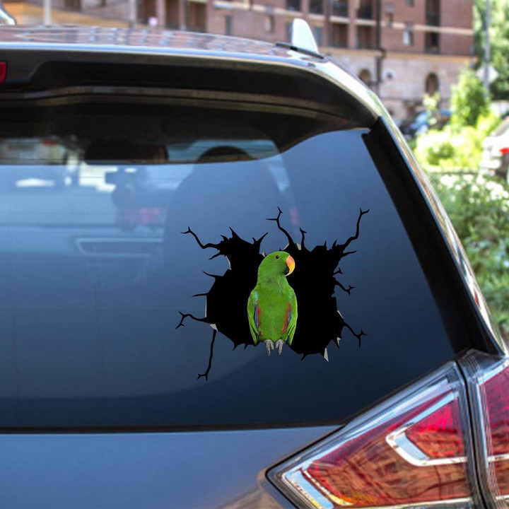 Eclectus Parrot Crack Window Decal Custom 3d Car Decal Vinyl Aesthetic Decal Funny Stickers Cute Gift Ideas Ae10457 Car Vinyl Decal Sticker Window Decals, Peel and Stick Wall Decals 12x12IN 2PCS