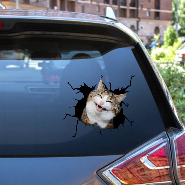 Funny Cats Crack Window Decal Custom 3d Car Decal Vinyl Aesthetic Decal Funny Stickers Cute Gift Ideas Ae10508 Car Vinyl Decal Sticker Window Decals, Peel and Stick Wall Decals 12x12IN 2PCS