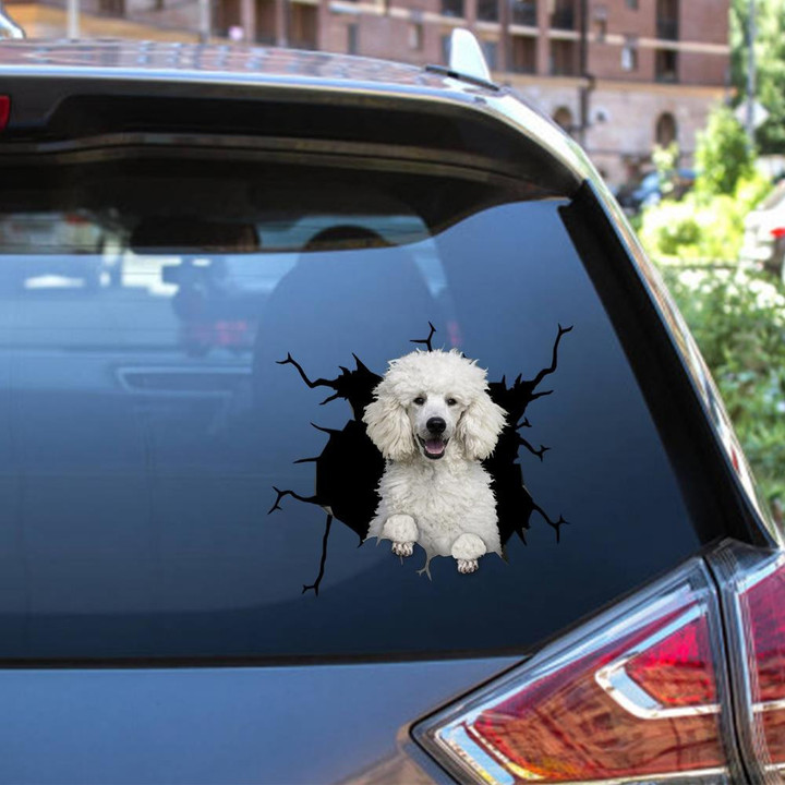 Funny Poodle Dog Breeds Dogs Puppy Crack Window Decal Custom 3d Car Decal Vinyl Aesthetic Decal Funny Stickers Home Decor Gift Ideas Car Vinyl Decal Sticker Window Decals, Peel and Stick Wall Decals 12x12IN 2PCS