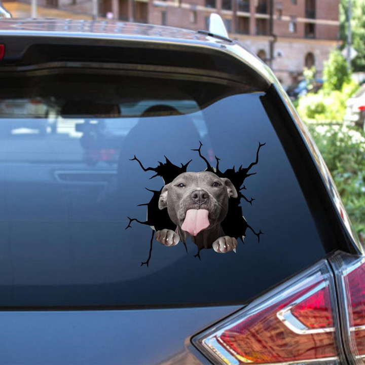 Funny Pitbull Dog Breeds Dogs Puppy Cute Dogs For Car Pretty Label Paper Christmas Gifts 2022.Png Car Vinyl Decal Sticker Window Decals, Peel and Stick Wall Decals 12x12IN 2PCS