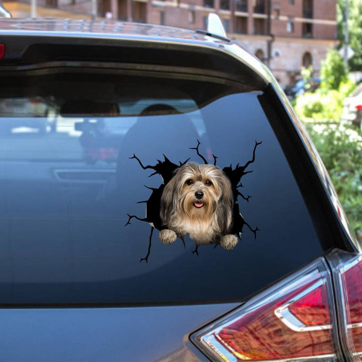 Havanese Crack Window Decal Custom 3d Car Decal Vinyl Aesthetic Decal Funny Stickers Cute Gift Ideas Ae10640 Car Vinyl Decal Sticker Window Decals, Peel and Stick Wall Decals 12x12IN 2PCS