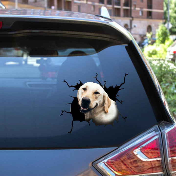 Labrador Dog Breeds Dogs Funny Gifts For Dog Lover Car Vinyl Decal Sticker Window Decals, Peel and Stick Wall Decals 12x12IN 2PCS