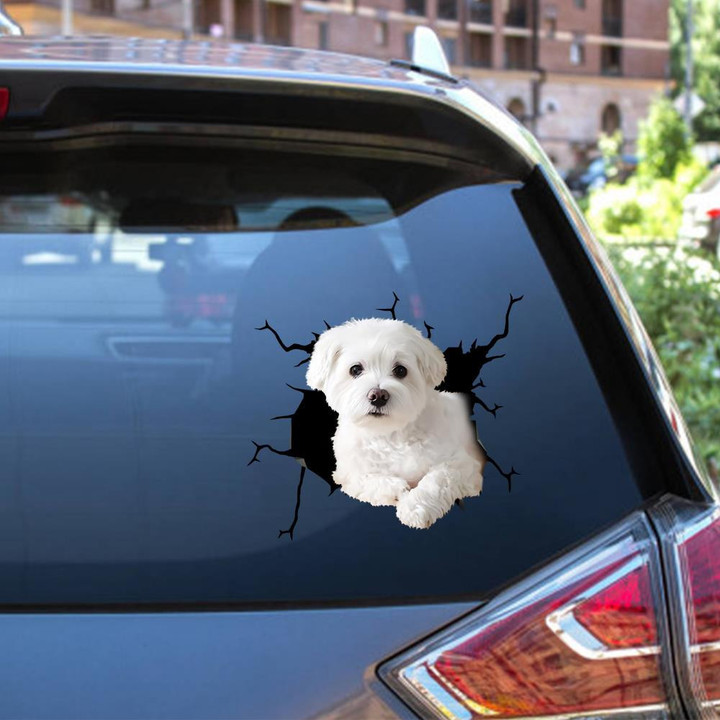 Maltese Crack Window Decal Custom 3d Car Decal Vinyl Aesthetic Decal Funny Stickers Cute Gift Ideas Ae10773 Car Vinyl Decal Sticker Window Decals, Peel and Stick Wall Decals 12x12IN 2PCS