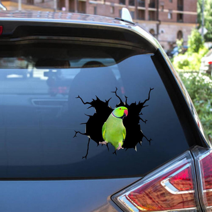 Male Green Indian Ringneck Crack Window Decal Custom 3d Car Decal Vinyl Aesthetic Decal Funny Stickers Home Decor Gift Ideas Car Vinyl Decal Sticker Window Decals, Peel and Stick Wall Decals 12x12IN 2PCS