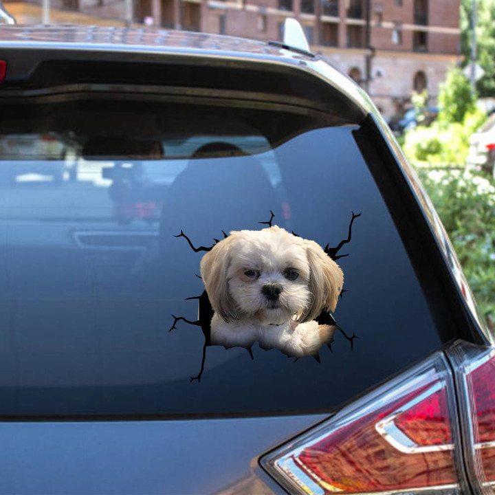 Maltese Dog Crack Sticker Design Funny For Men Car Vinyl Decal Sticker Window Decals, Peel and Stick Wall Decals 12x12IN 2PCS