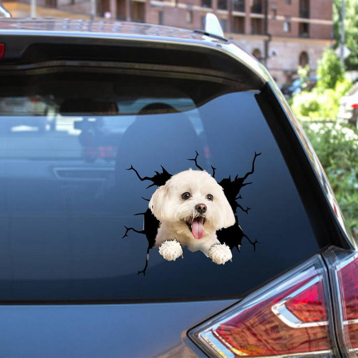 Maltese Crack Window Decal Custom 3d Car Decal Vinyl Aesthetic Decal Funny Stickers Cute Gift Ideas Ae10772 Car Vinyl Decal Sticker Window Decals, Peel and Stick Wall Decals 12x12IN 2PCS