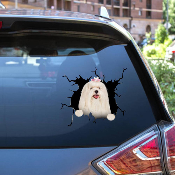Maltese Crack Window Decal Custom 3d Car Decal Vinyl Aesthetic Decal Funny Stickers Cute Gift Ideas Ae10771 Car Vinyl Decal Sticker Window Decals, Peel and Stick Wall Decals 12x12IN 2PCS