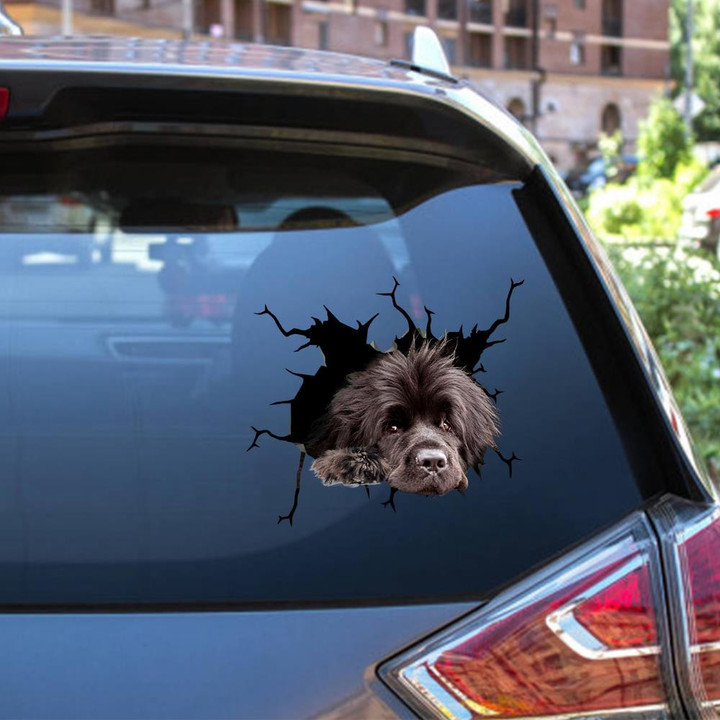 Newfoundland Crack Window Decal Custom 3d Car Decal Vinyl Aesthetic Decal Funny Stickers Cute Gift Ideas Ae10806 Car Vinyl Decal Sticker Window Decals, Peel and Stick Wall Decals 12x12IN 2PCS